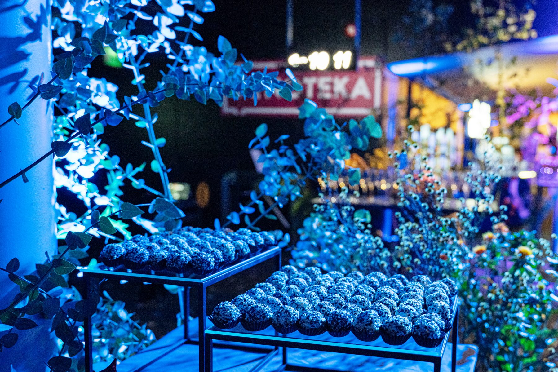 Rėmėjai ir partneriai festivalyje