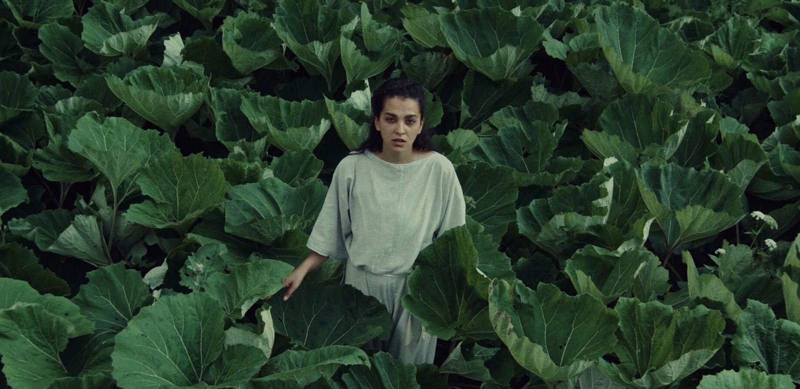 „Orla“, rež. Marie Lukáčová · Europos blyksniai III